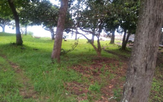 Villa in Goma to Rent